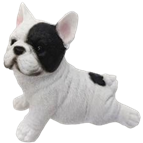 Dog Product