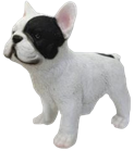 Dog Product