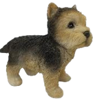 Dog Product