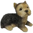 Dog Product