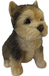 Dog Product