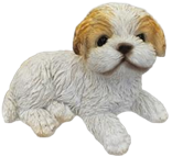 Dog Product