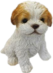 Dog Product