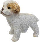 Dog Product