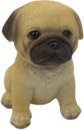 Dog Product