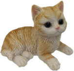 Cat Product