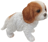 Dog Product