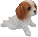 Dog Product
