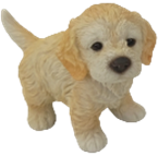 Dog Product