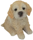 Dog Product