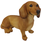 Dog Product