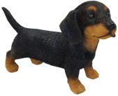 Dog Product