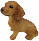 Dog Product