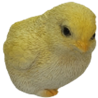 Chicken Product