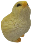 Chicken Product