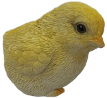 Chicken Product