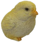 Chicken Product