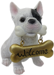 Dog Product