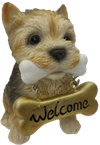 Dog Product