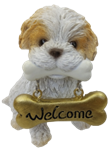 Dog Product