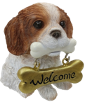 Dog Product