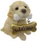 Dog Product