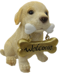 Dog Product