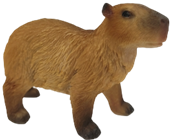 Capybara Product