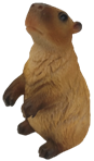 Capybara Product