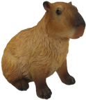 Capybara Product
