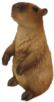 Capybara Product