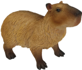 Capybara Product