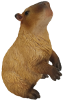 Capybara Product
