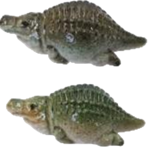 Crocodile Product