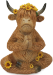 Cattle Product