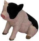 Pig Product