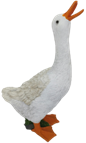 Duck Product