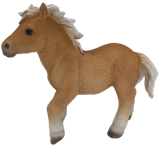 Horse Product