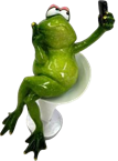 Frog Product