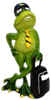 Frog Product