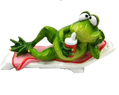 Frog Product