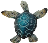 Turtle Product
