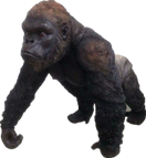 Chimpanzee Product