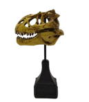 Dinosaur Product