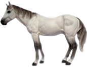 Horse Product