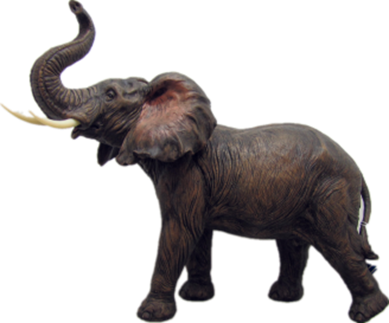 Elephant Product