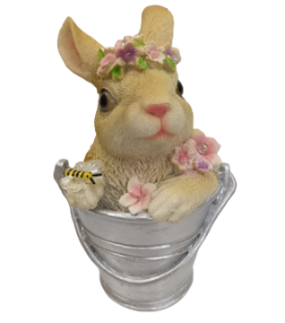 Rabbit Product