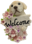 Dog Product