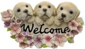 Dog Product