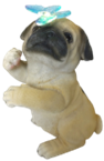 Dog Product